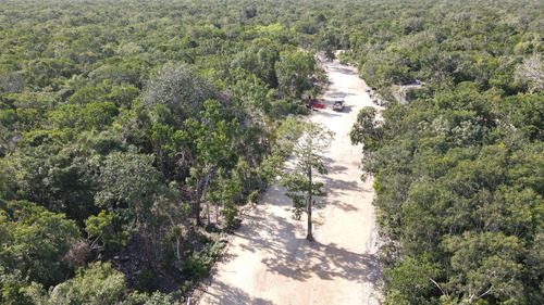 528 Tulum, Tulum, Quintana Roo, Lotes Residenciales Con Cenote Propio