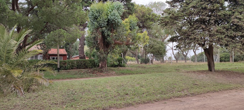 Imagen 6 de 13 de Lote B° Copacabana Con Escritura Sobre Av Suipacha De 400 Mts2