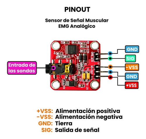 Sensor Muscular Biomédico Emg Electrónica Arduino Raspberry