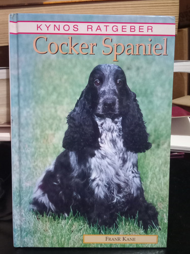 Cocker Spaniel ( Cartone ) D41