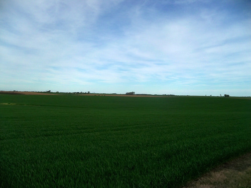 430 Has Agrícolas En Colonia, Próximas Al Puerto De Palmira