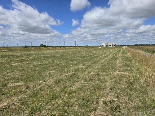 Venta Terreno En Campos De La Enriqueta