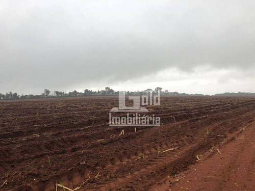 Imagem 2 de 3 de Sítio À Venda, 12.5 Alqueires Por R$ 2.150.000 - Zona Rural - São Carlos/sp - Si0157
