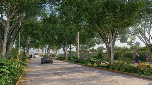 Losantos: Terrenos Residenciales By Artigas, Cancún.