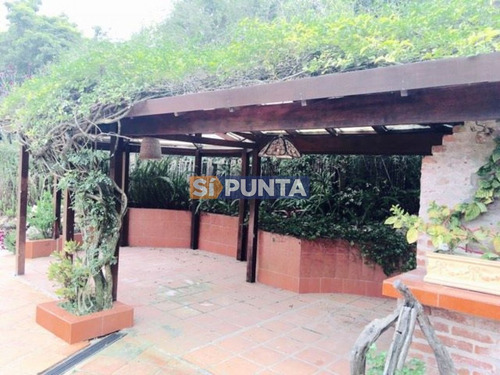 Imagen 9 de 10 de Casa En Rincón Del Indio, 3 Dormitorios En Alquiler