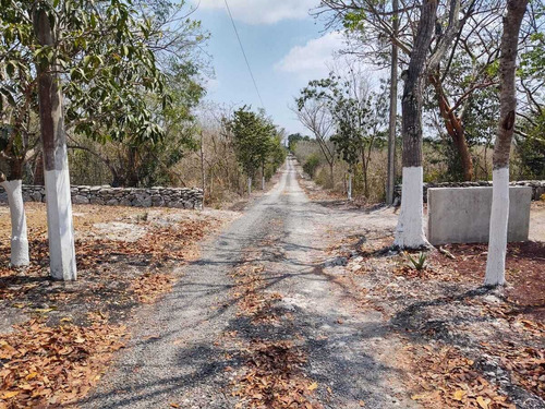 Terreno En Venta En Veracruz Con Casa De Descanso Loc. Palo Gacho.