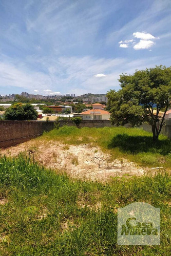 Imagem 4 de 10 de Lote À Venda No Bandeirantes - Código 278049 - 278049