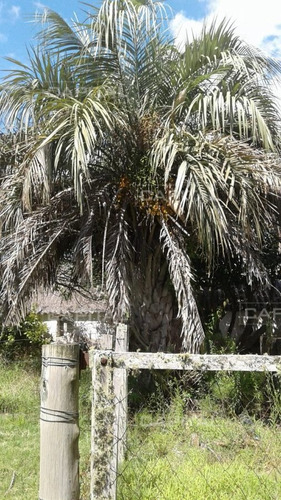 Imagen 5 de 15 de Excelente Chacra En Venta Para Reciclar A Dos Km De Puedo Eden Maldonado - Maldonado Ruta 9