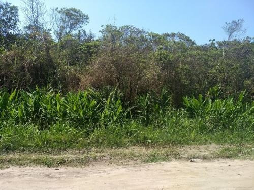 Imagem 4 de 4 de Lote Na Praia Com 286 M², Em Itanhaém/sp 6010-pc