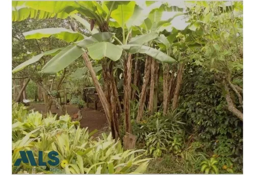 Finca Independiente En Rionegro - El Tablazo(mls#249941)