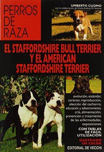 El Staffordshire Bull Terrier Y El American Staffordshire Bu
