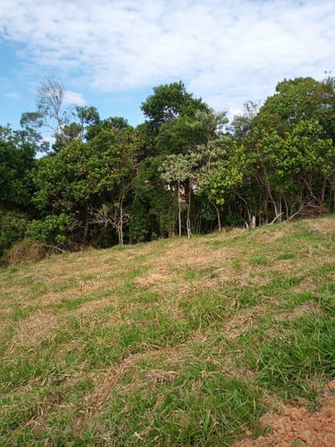 Imagem 14 de 14 de N20-1.000m2 Terrenos Com Vista Unica Em Santa Isabel !!!!