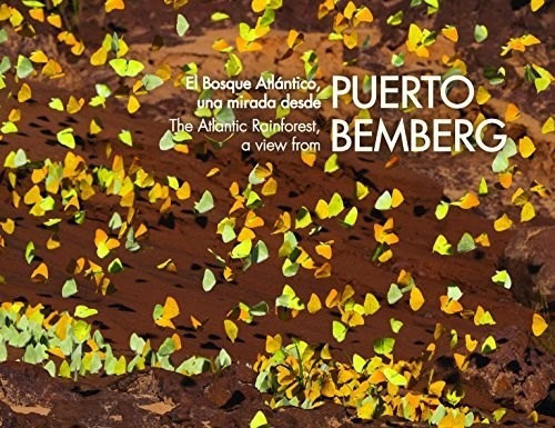 Puerto Bemberg De Juan Zorraquin, De Juan Zorraquín. Editorial Larivière En Español