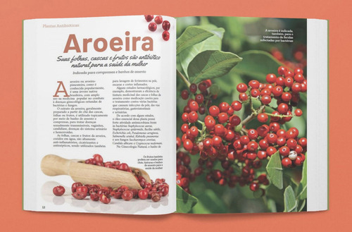 Livro - Plantas Antibióticas, De Marilua Feitoza. Editorial Editora Europa, Capa Mole, Edição 1 Em Físico, 2024