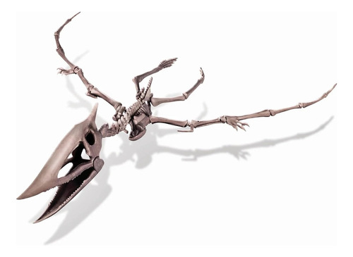 Kit Excavacion Esqueleto Fosil Dinosaurio Pteranodon Ciencia