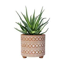 Comprar Maceta De Terracota De 6 Pulgadas, Diseño Moderno, Mac...
