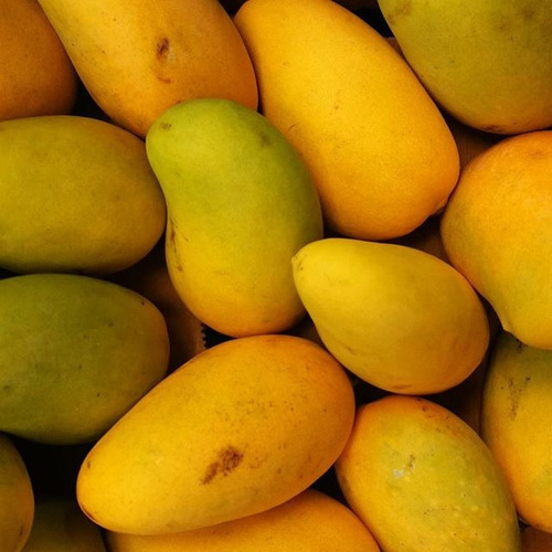 Mango Ataulfo
