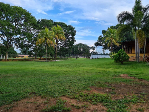 Imagen 15 de 15 de Altacasa Vende Hermosa Finca En Sabana Del Medio, Municipio Libertador Tocuyito