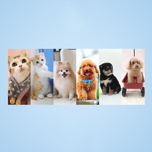 Cercadinho Portátil Para Animais De Estimação, Casinha De