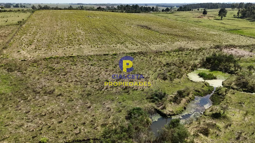 3 Hectáreas En Migues Con Aguada Y Linda Vista