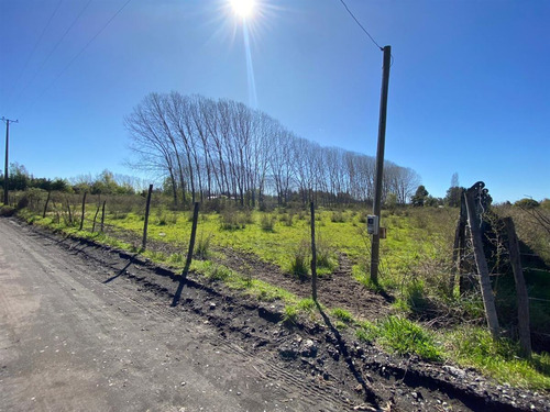 Terreno 5.000mt La Quinta, Cabrero Sin Comisión De Corretaje