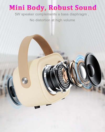 Mini Máquina De Karaoke Bluetooth Con 2 Micrófonos Inalámbri