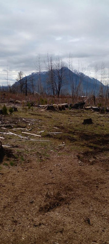 Chacra En Las Golondrinas - Chubut