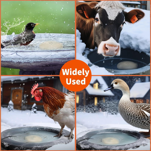 Bird Baths Calentador Para Exteriores Con Termostato Control