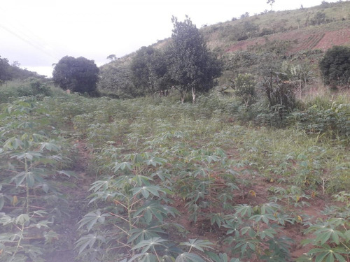 Imagem 12 de 14 de Sítio / Chácara Para Venda Em Flexeiras, Zona Rural - In - 0014_1-1691481