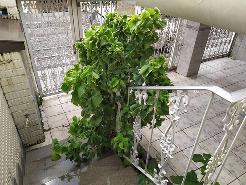 Imagem 17 de 26 de Sobrado Em Maranhão, São Paulo/sp De 130m² 2 Quartos À Venda Por R$ 737.000,00 - So922580-s
