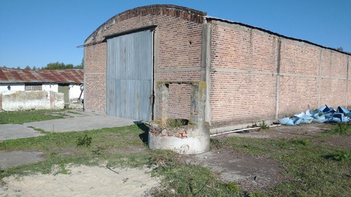 Imagen 4 de 13 de Vendo Urgente Campo 60 Hectáreas En Libertador Corrientes