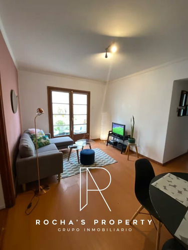 Dpto Amoblado Con Patio Todo Gto Incl Providencia 2d+2b+1e