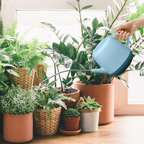 Regadera De Larga Para Suculentas, Rociador Para Planta Azul