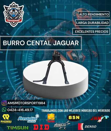 Burro Central Jaguar 