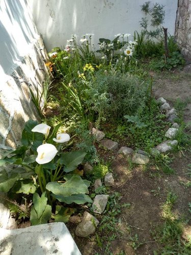 Imagen 8 de 13 de Venta De Casa En Alta Gracia! Con Escritura!