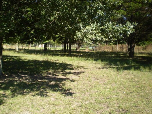 Imagen 3 de 6 de Quinta/terreno En Venta - 42.335 M2 - Loma Verde - Escobar