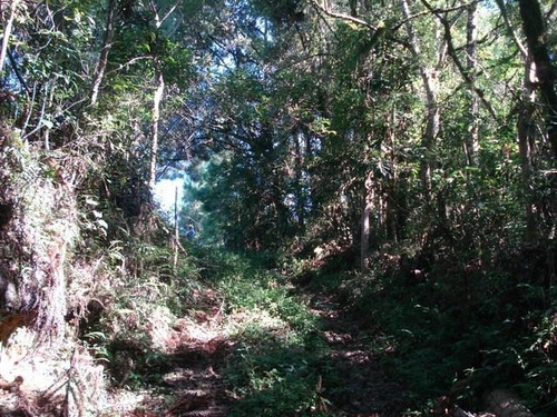 Chácara Todos À Venda, Campina De Quitandinha, Quitandinha - Ch0005. - Ch0006