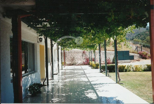 Imagen 4 de 13 de Sitio En Venta En Curacaví