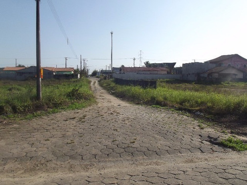 Imagem 26 de 29 de Terreno - Te00036 - 32363943