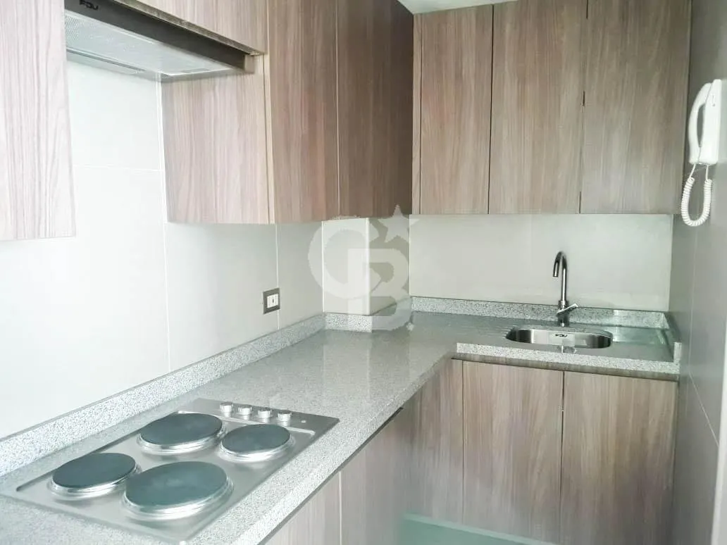 Imagen 1 de 10 de 2d/2b | Independencia | Metro Plaza Chacabuco