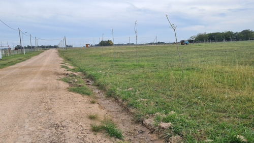 Imagen 14 de 14 de Cuatro Lotes De 600 Mt2!! Excelente Ubicación Dentro Del Barrio! Últimos A Este Valor