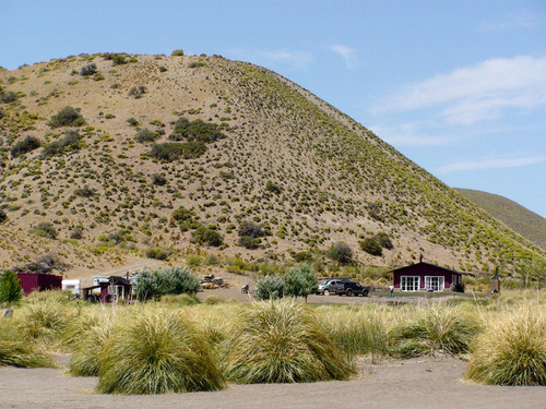 Campo En Venta En Alicura