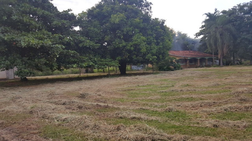 Chacara 5000m2 Casa Sede 200m2 3 Dorms 1 Suíte 3 Banheiros - Ch00018 - 34932686