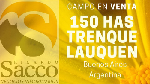 Campo Mixto En Venta En #trenquelauquen