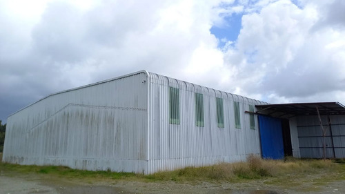 Arriendo: Gran Galpón Industrial Ubicado En Ruta 5...