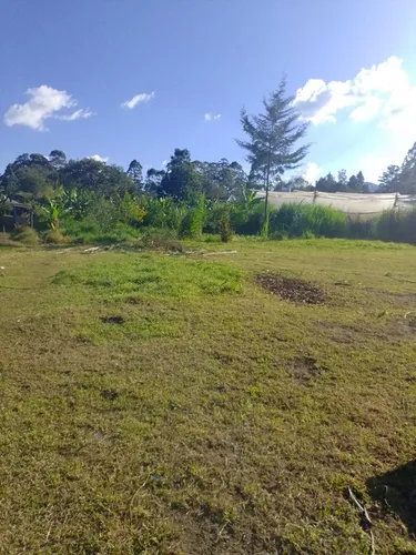 2 Lotes Super Planos En Venta En La Ceja(a 2,5 Km Via La Ceja- La Union)