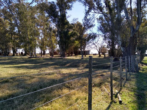 Vendo Campo De 226 Ha