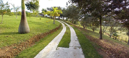 Imagem 11 de 14 de Graça De Chácara Em Salesópolis!!!