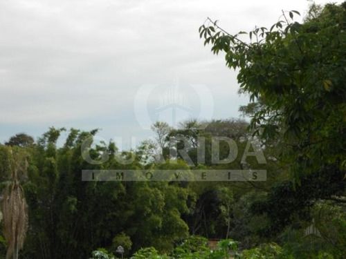 Imagem 2 de 5 de Terreno - Vila Conceicao - Ref: 34191 - V-34191