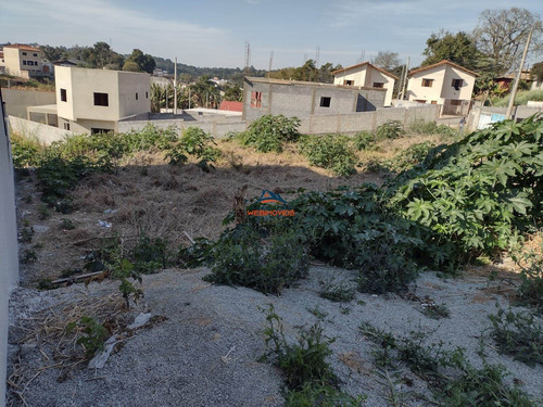 Imagem 4 de 4 de Terreno - Te00072 - 69954626